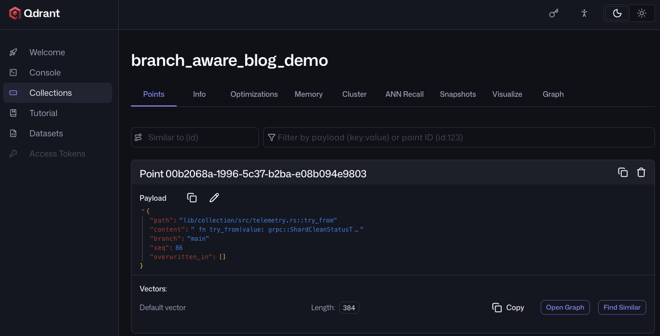 The indexed collection in the Qdrant Web UI: per-function points carrying branch, seq, and overwritten_in payloads