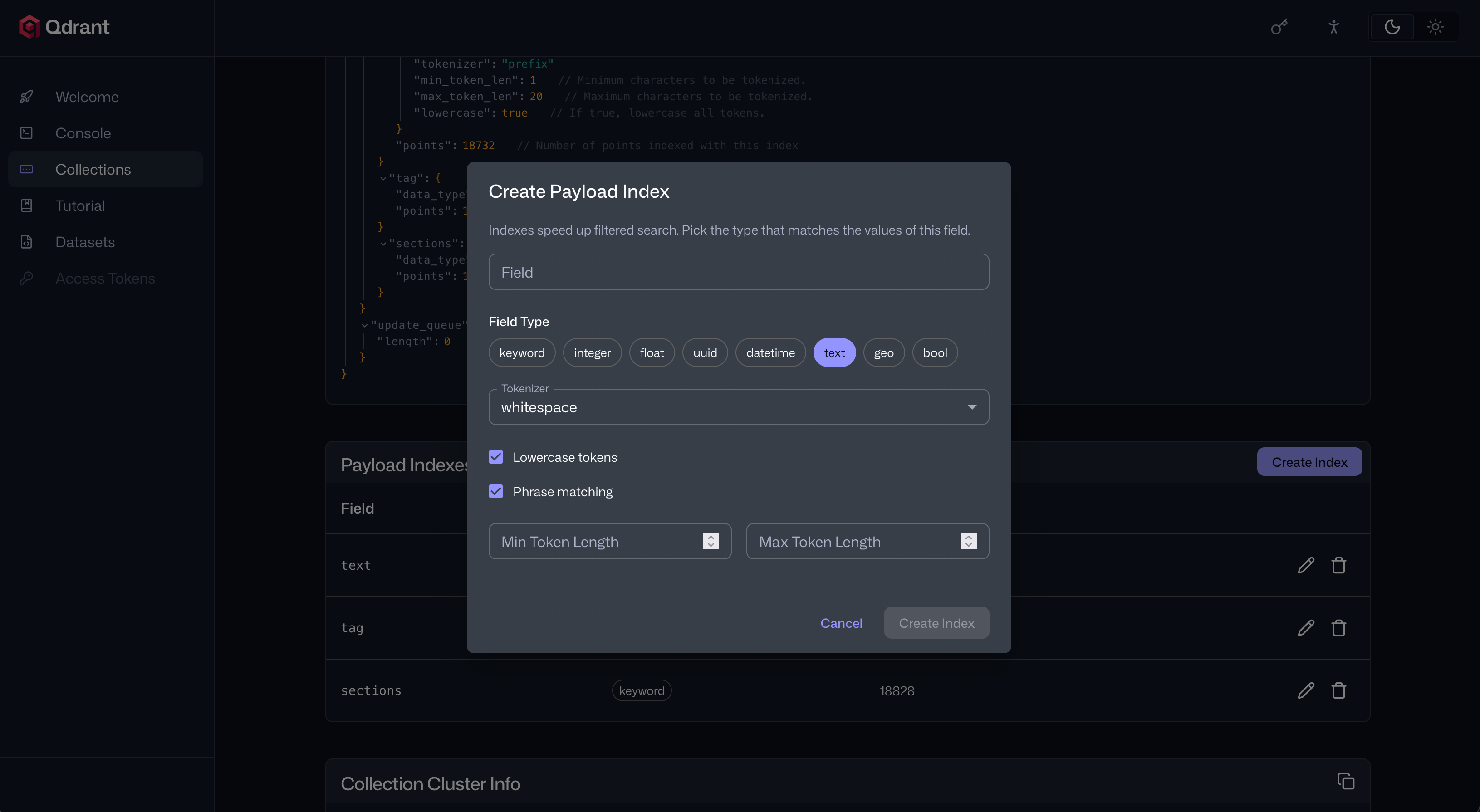 Screenshot of the new payload indexes management in the Qdrant Web UI